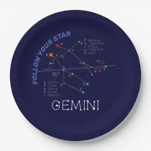 Zodiac Constellation Gemini Papieren Bordje