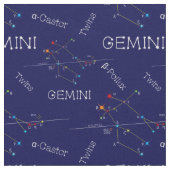 Zodiac Constellation Gemini Stof (Close Up)