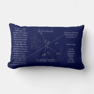 Zodiac Constellation Kanker Grappig Uniek Kussen