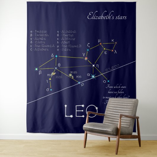 Zodiac Constellation Leo Wandkleed (In situ)