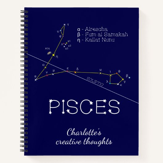 Zodiac Constellation Pisces Notitieboek (Voorkant)