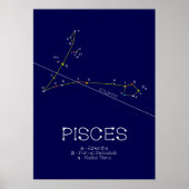 Zodiac Constellation Pisces Poster (Voorkant)