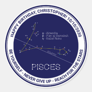 Zodiac Constellation Pisces Ronde Sticker