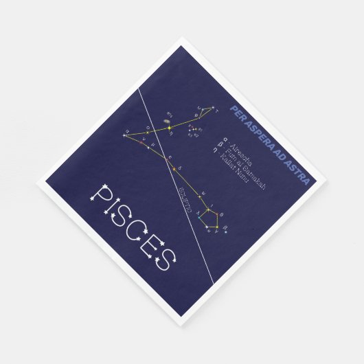 Zodiac Constellation Pisces Servet (Hoek)