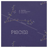 Zodiac Constellation Pisces Stof (Close Up)