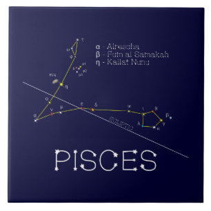 Zodiac Constellation Pisces Tegeltje