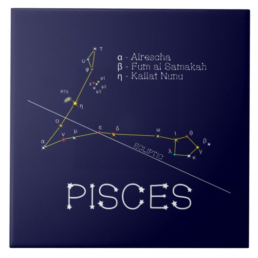 Zodiac Constellation Pisces Tegeltje (Voorkant)
