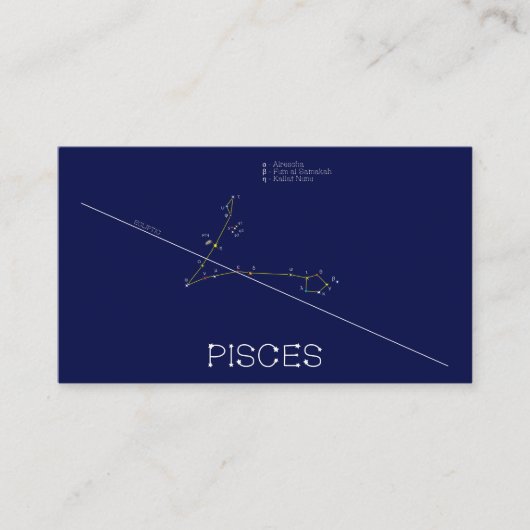 Zodiac Constellation Pisces Visitekaartje (Voorkant)