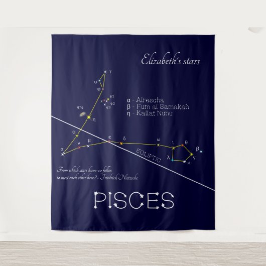Zodiac Constellation Pisces Wandkleed (Voorkant)