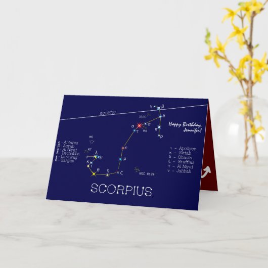 Zodiac Constellation Scorpius Kaart (Gele Bloem)