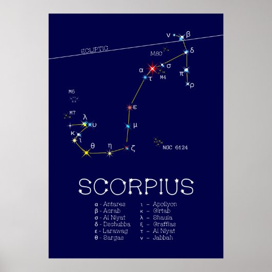 Zodiac Constellation Scorpius Poster (Voorkant)
