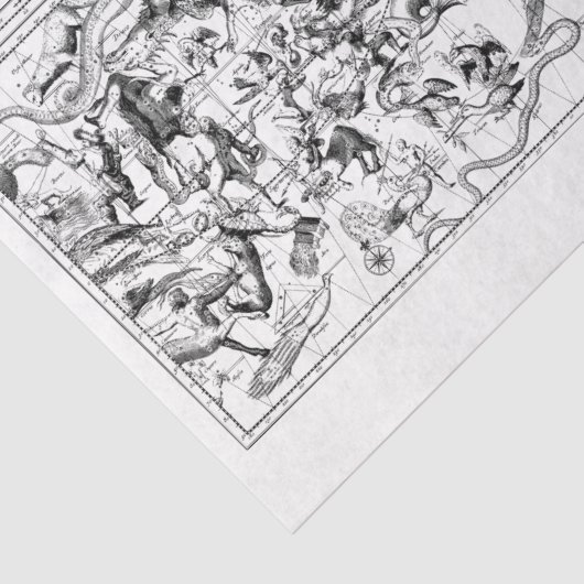 Zodiac Constellations Black White Tissue Paper Tissuepapier (Detail)