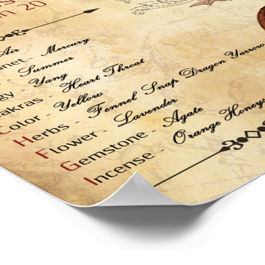 ZODIAC GEMINI Birth Sign POSTER (Hoek)