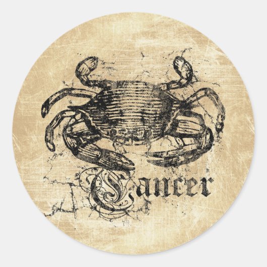  zodiac-kanker ronde sticker (Voorkant)
