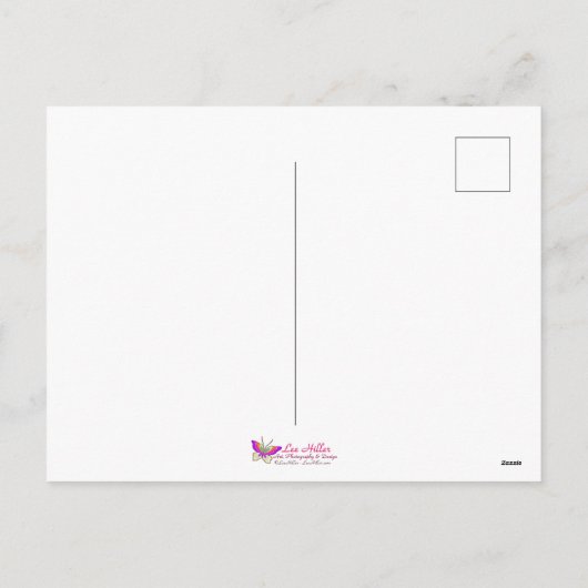 Zodiac - Leo de Leeuw Feestdagenkaart (Achterkant)