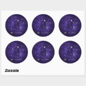 Zodiac Paarse Waterman | Astrologie Horoscoop Ronde Sticker (Vel)