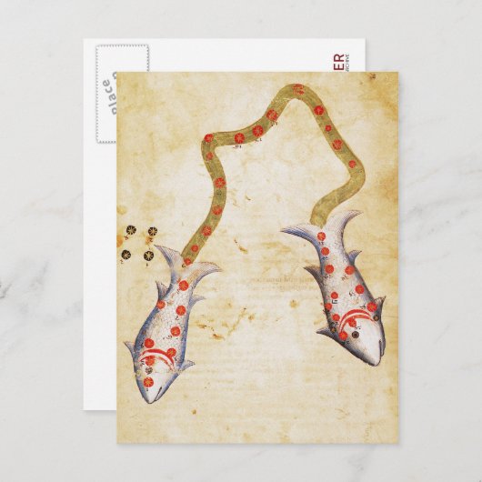 Zodiac: Pisces, C1350 Briefkaart (Voorkant / Achterkant)