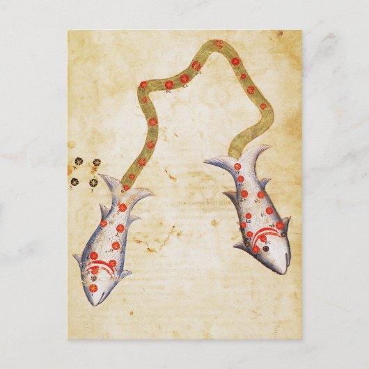 Zodiac: Pisces, C1350 Briefkaart (Voorkant)