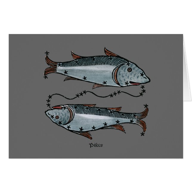 Zodiac: Pisces in kleur (Voorkant Horizontaal)