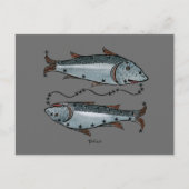 Zodiac: Pisces in kleur Briefkaart (Voorkant)