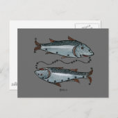 Zodiac: Pisces in kleur Briefkaart (Voorkant / Achterkant)