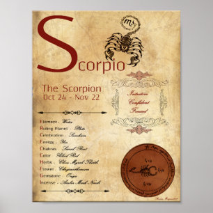 ZODIAC SCORPIO Birth Sign POSTER