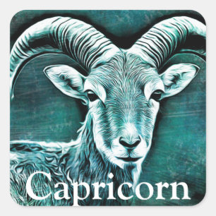 Zodiac Sign Capricorn Goat Symbol and Horoscope Vierkante Sticker