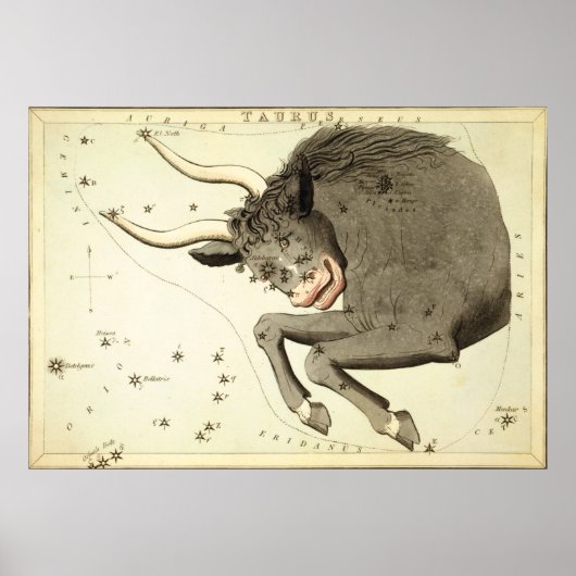 "Zodiac Sign: Taurus" poster/print Poster (Voorkant)