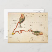 "Zodiac Sign: Vissen" briefkaart (Voorkant / Achterkant)