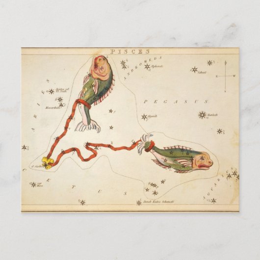 "Zodiac Sign: Vissen" briefkaart (Voorkant)