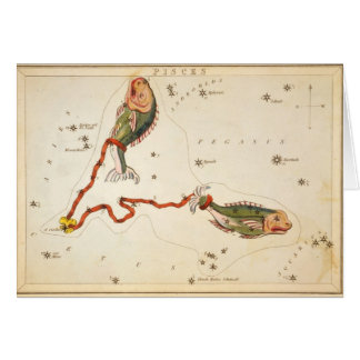 "Zodiac Sign: Vissen" kaarten