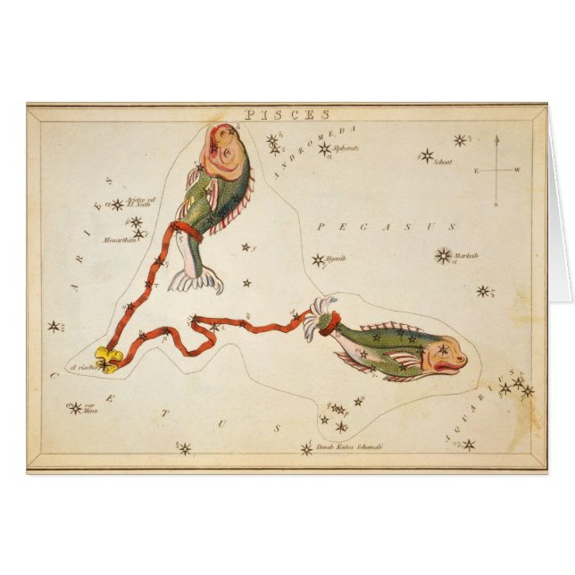 "Zodiac Sign: Vissen" kaarten (Voorkant Horizontaal)