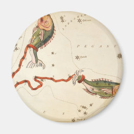 "Zodiac Sign: Vissen" magneten