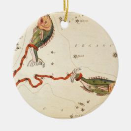 "Zodiac Sign: Vissen" ornament