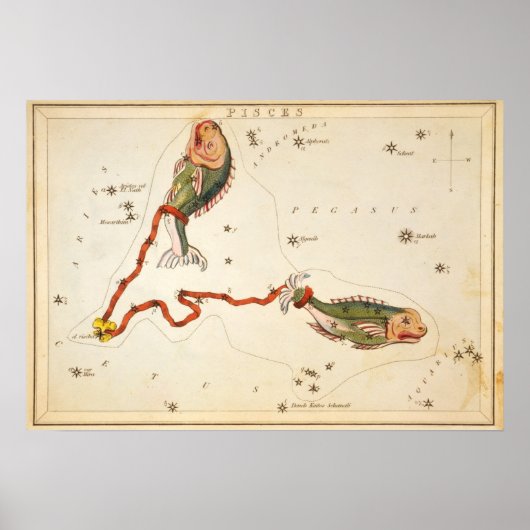 "Zodiac Sign: Vissen" print/poster Poster (Voorkant)