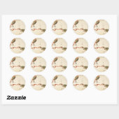 "Zodiac Sign: Vissen" stickers (Vel)