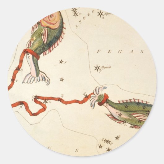 "Zodiac Sign: Vissen" stickers (Voorkant)