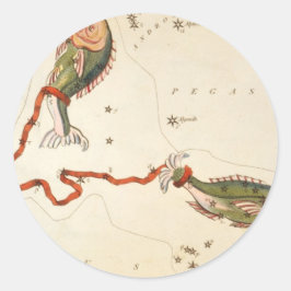 "Zodiac Sign: Vissen" stickers