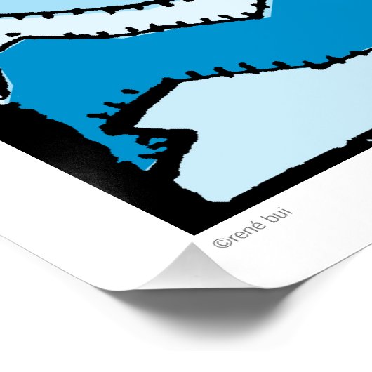 Zodiac Signs Aquarius Birthday Perfect Poster 20 (Hoek)