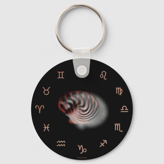 Zodiac Sleutelhanger (Voorkant)