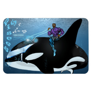 Zodiac Universe - Vissen magneet