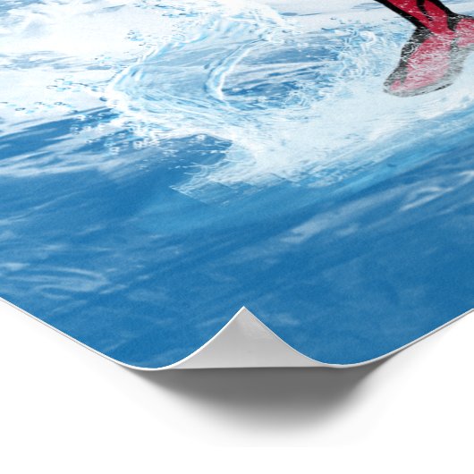 Zodiaes universum — Aquarius Poster (Hoek)