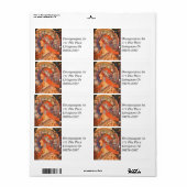 Zodiak Woman van Mucha Etiket (Full Sheet)