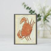  zodische astrologie kankersterrenbeeld briefkaart (Staand voorkant)