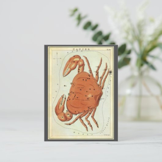  zodische astrologie kankersterrenbeeld briefkaart (Staand voorkant)