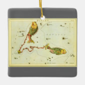  zodische strologie Pisces Fish Constellation Keramisch Ornament (Voorkant)