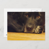 Zoe Briefkaart (Voorkant / Achterkant)