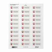 Zoe Cat met Kerstmuts Kerst Retouradres Etiket (Full Sheet)