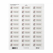 Zoe Cat met Kerstmuts Kerst Retouradres Etiket (Full Sheet)
