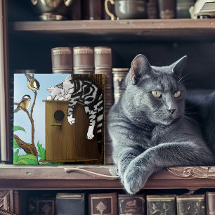 Zoe Caviaat Kat Slapend in Vogelhuisje Grappig Tegeltje